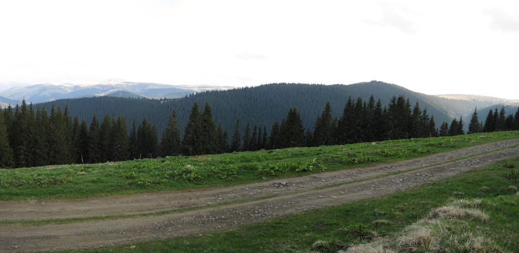 Буркут з panoramio.com - Буркут