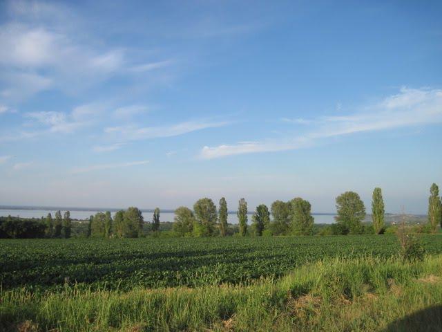 Бородаївські Хутори з panoramio.com - Бородаївські Хутори