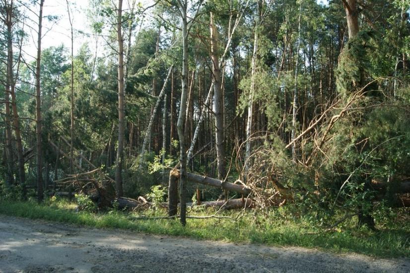 Велика Любаша з panoramio.com - Велика Любаша