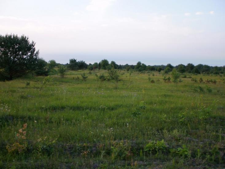 Римачі з panoramio.com - Рымачи