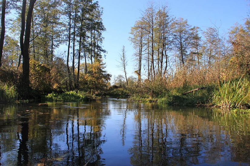 Угли з panoramio.com - Ugly