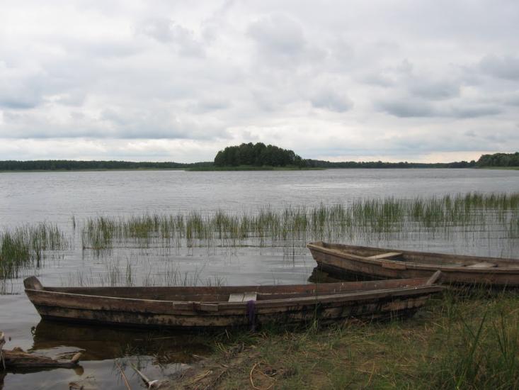 Мельники з panoramio.com - Мельники