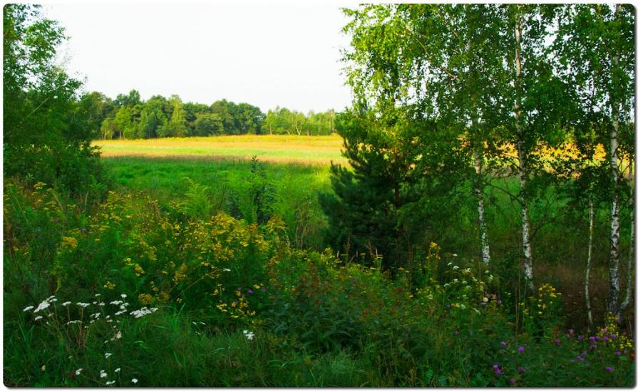 Тепениця з panoramio.com - Тепеница