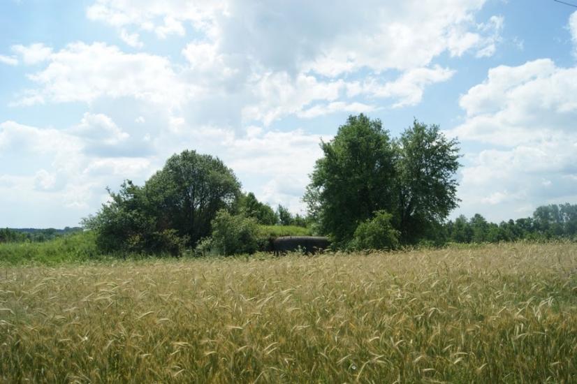 Велика Любаша з panoramio.com - Велика Любаша