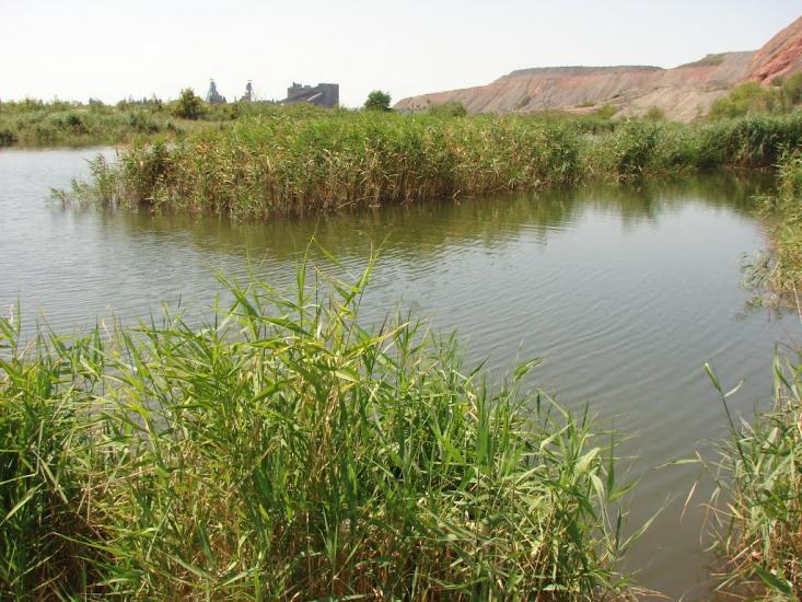 Білицьке з panoramio.com - Белицкое