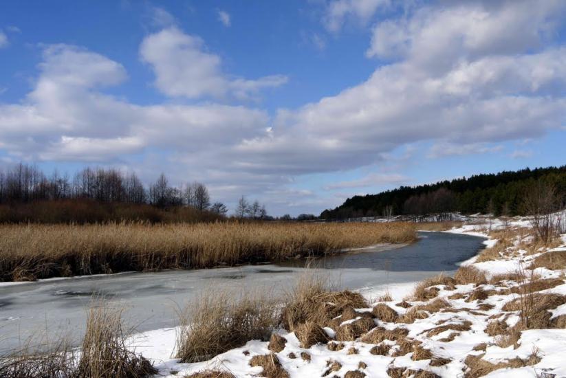 Рожів з panoramio.com - Рожев