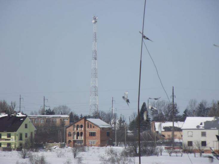 Козова з panoramio.com - Козова