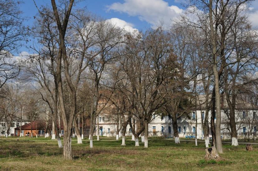 Стрілеча з panoramio.com - Стрелечья