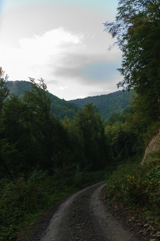 Кострина з panoramio.com - Кострина