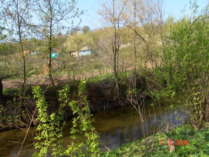 Борщівці з panoramio.com - Борщівці