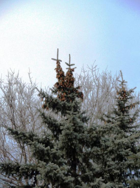Пологи з panoramio.com - Пологи