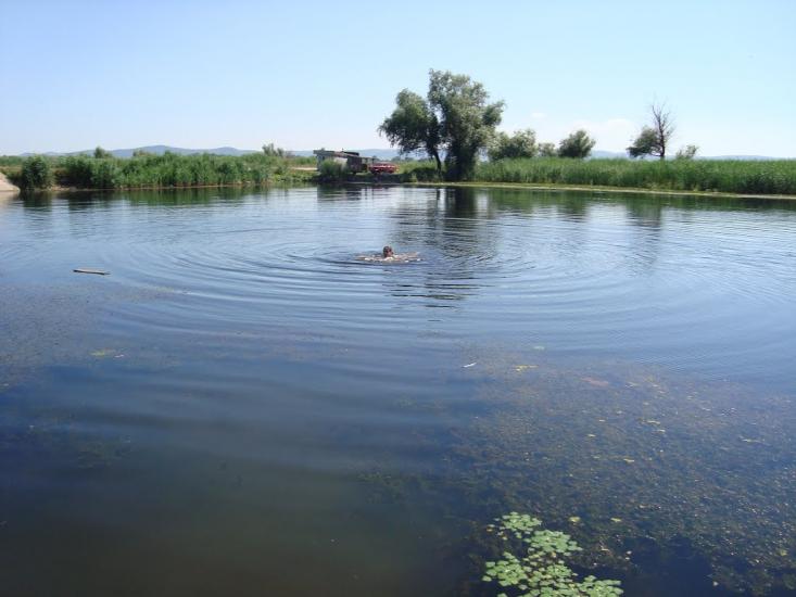 Новосільське з panoramio.com - Novosilske