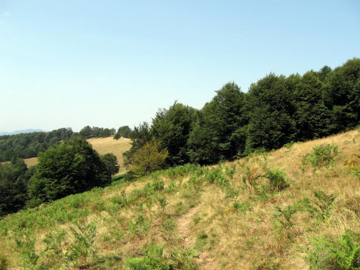 Вучкове з panoramio.com - Вучкове