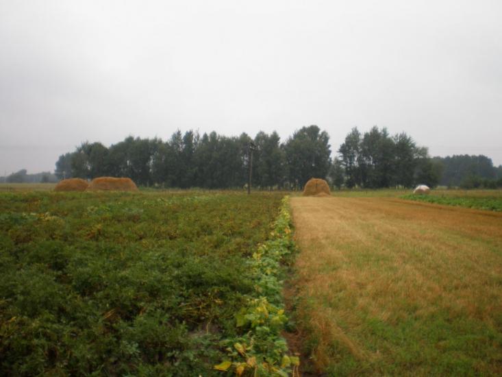 Замлиння з panoramio.com - Замлиння