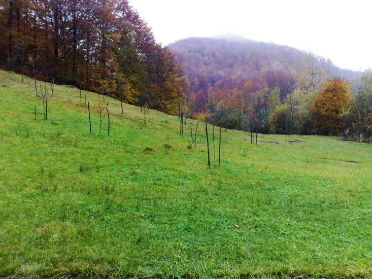 Водиця з panoramio.com - Водиця