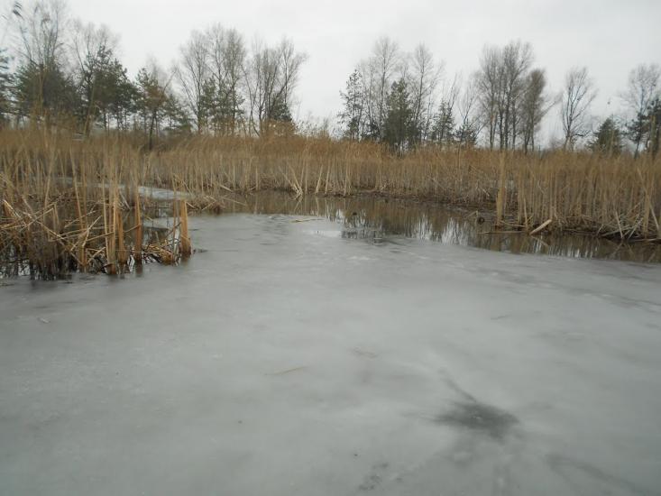 Худяки з panoramio.com - Худяки