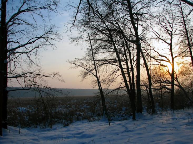 Волиця з panoramio.com - Волица