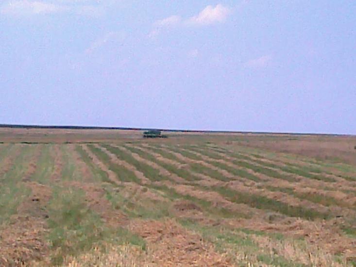 Сатиїв з panoramio.com - Сатыев