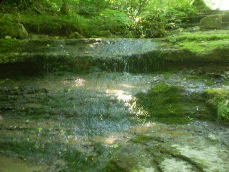 Суржинці з panoramio.com - Суржинці