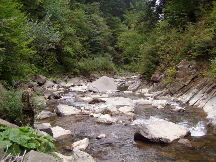 Буківцьово з panoramio.com - Буковцево