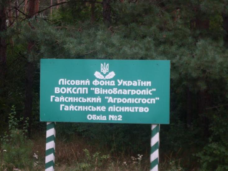 Гунча з panoramio.com - Гунча