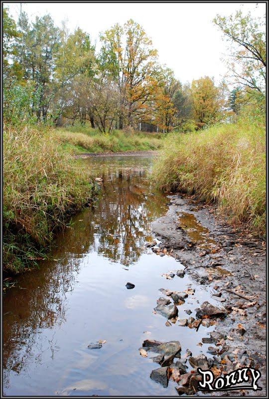 Тепениця з panoramio.com - Тепениця