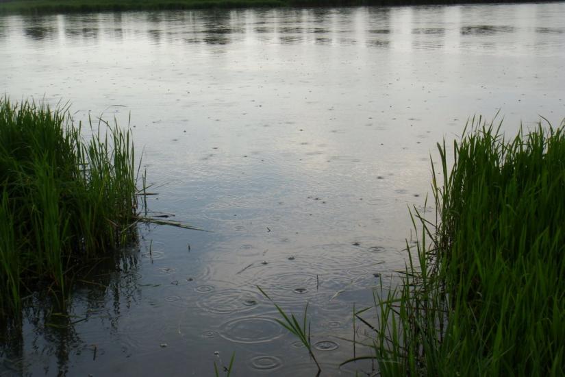 Маяки з panoramio.com - Маяки