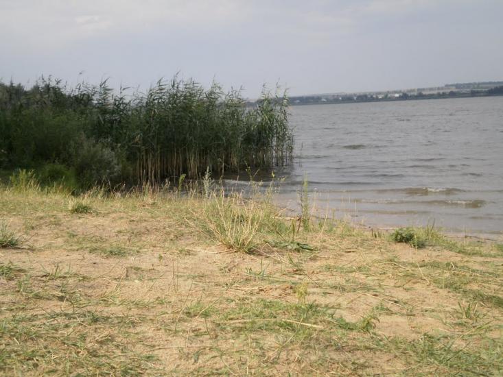 Липці з panoramio.com - Lyptsi