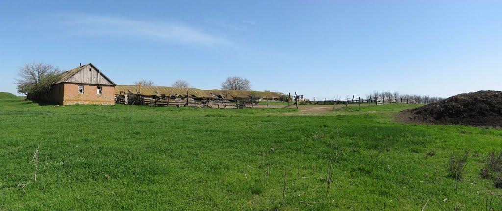 Осипенко з panoramio.com - Осипенко