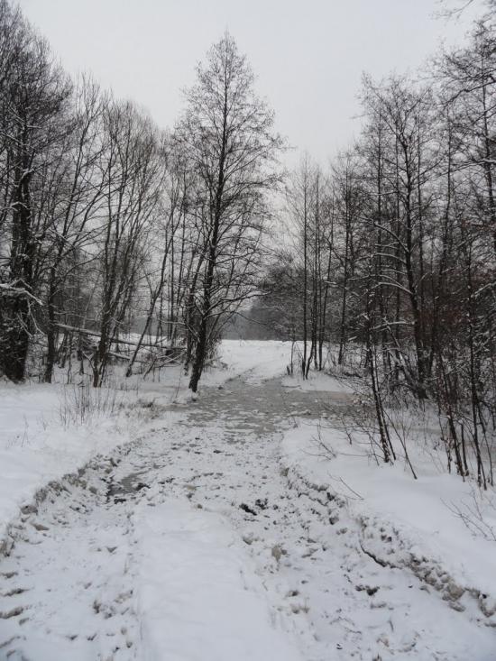 Хрипськ з panoramio.com - Хрипск