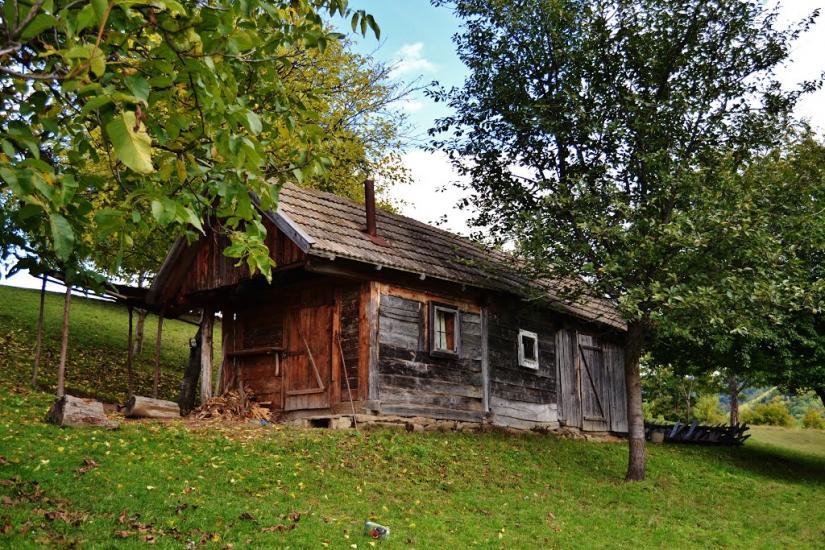 Росішка з panoramio.com - Росішка