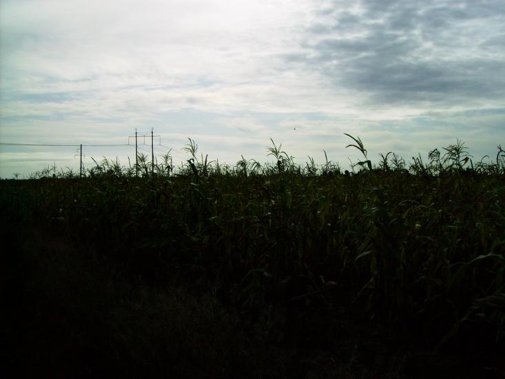 Велика Кошелівка з panoramio.com - Велика Кошелівка