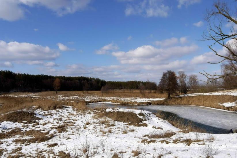 Великий Карашин з panoramio.com - Великий Карашин