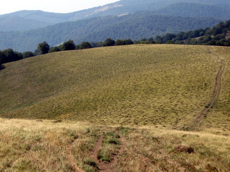 Вучкове з panoramio.com - Вучково