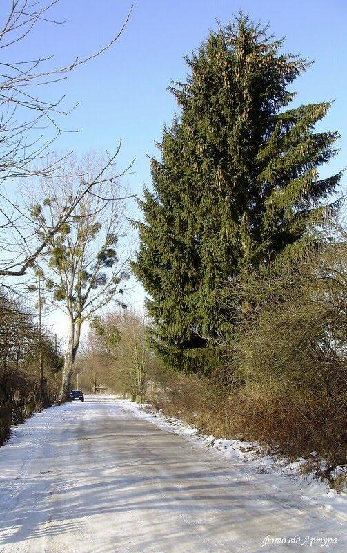 Ліски з panoramio.com - Lisky