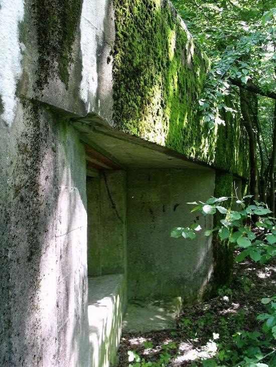 Велика Любаша з panoramio.com - Велика Любаша