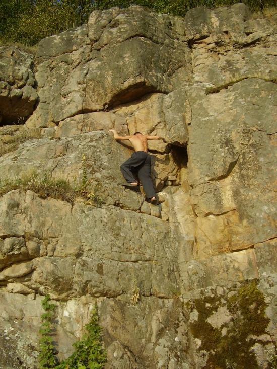 Шершні з panoramio.com - Шершні