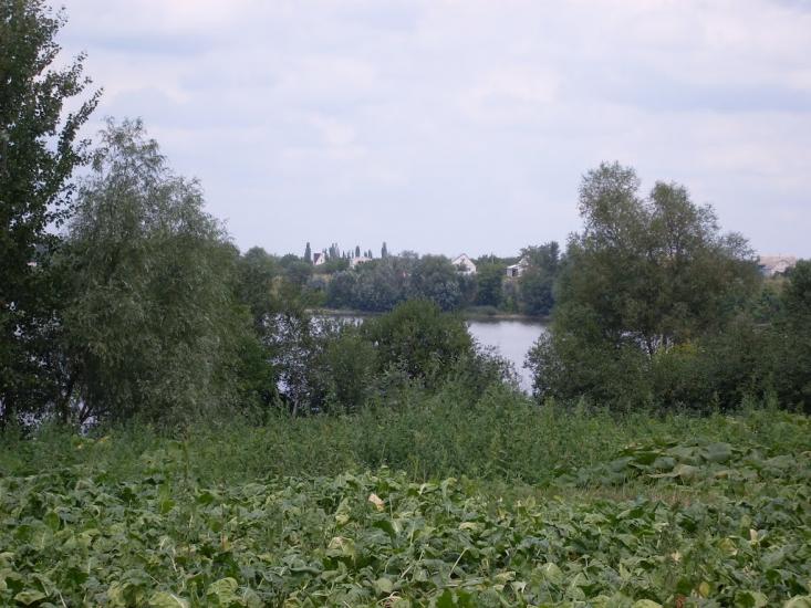 Засупоївка з panoramio.com - Засупоевка
