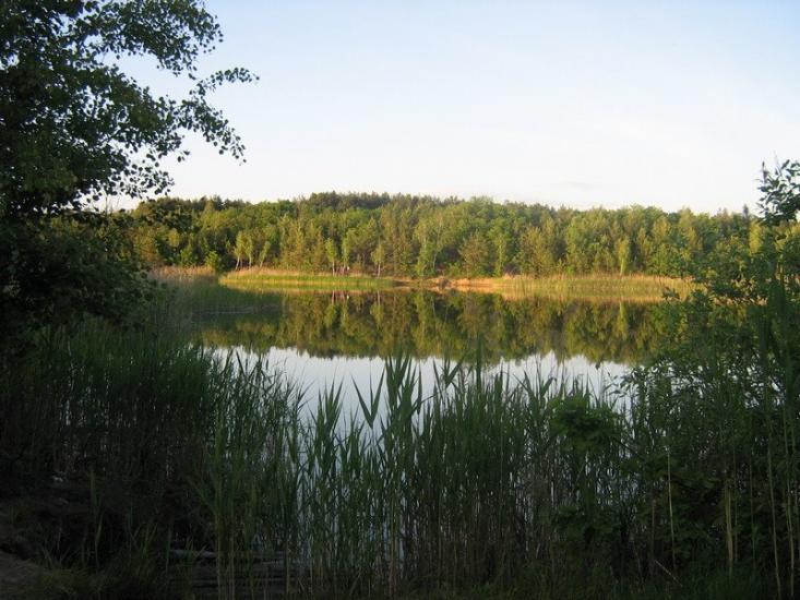 Великі Кошарища з panoramio.com - Великие Кошарища