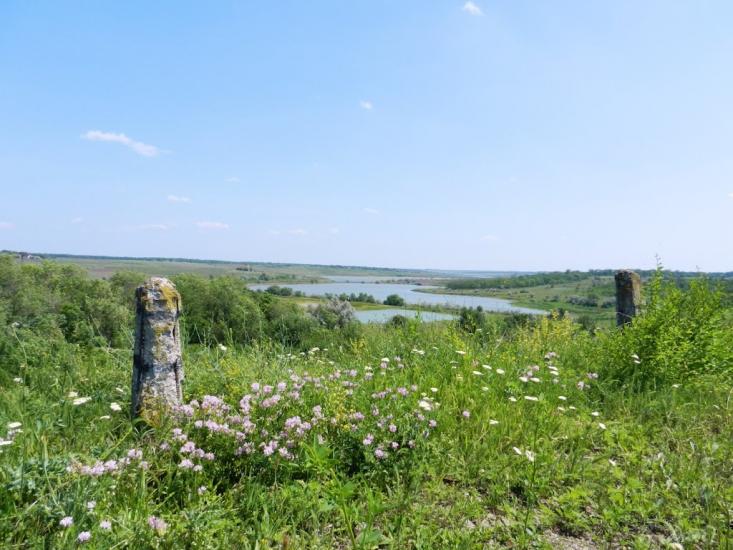 Нова Зоря з panoramio.com - Новая Зоря