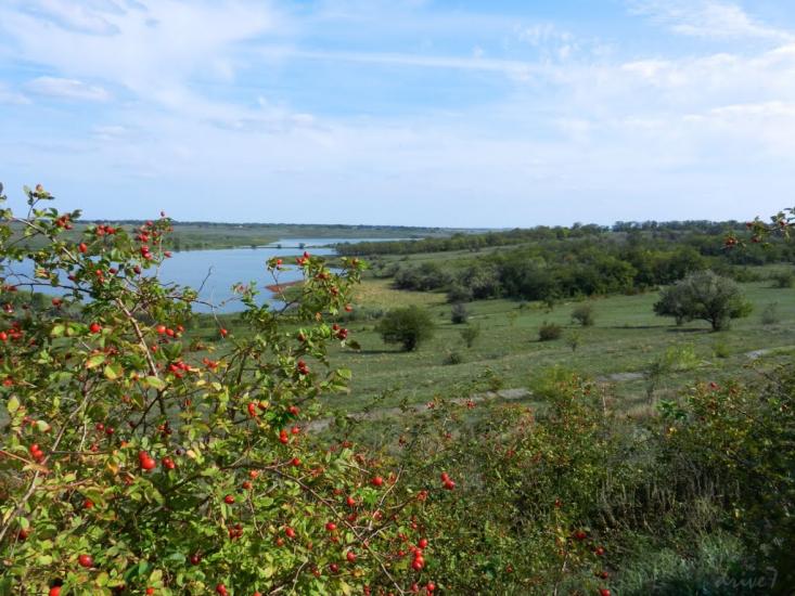 Нова Зоря з panoramio.com - Новая Зоря