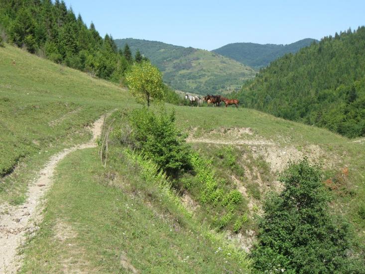 Рибник з panoramio.com - Рибник