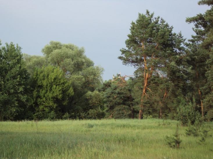 Карпенкове з panoramio.com - Карпенково