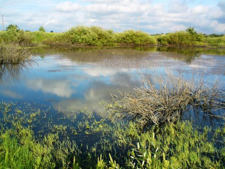 Панютине з panoramio.com - Панютино