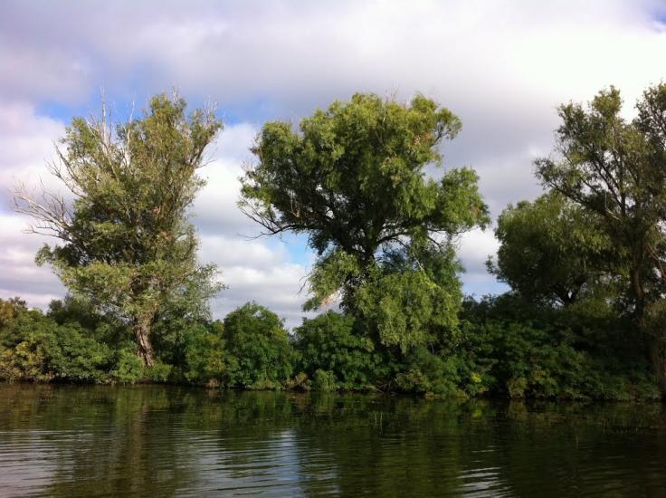 Кізомис з panoramio.com - Kizomys