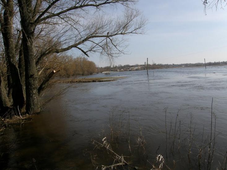 Оржиця з panoramio.com - Оржица