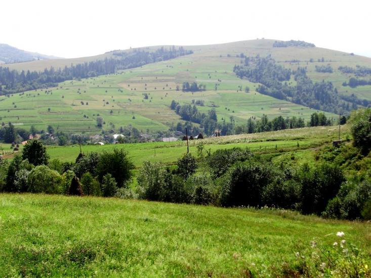 Плав'я з panoramio.com - Плавья