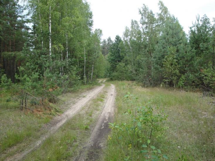 Скиток з panoramio.com - Скиток