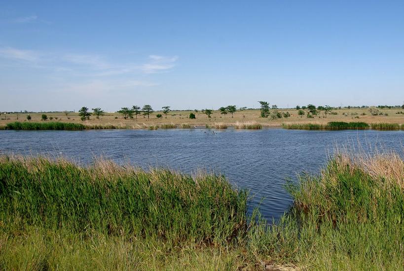 Мала Тернівка з panoramio.com - Мала Тернівка