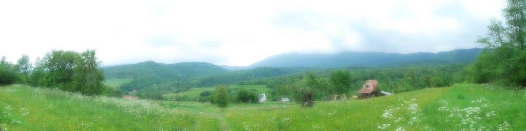 Буківцьово з panoramio.com - Буковцево